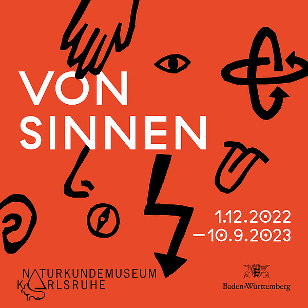 „Von Sinnen“ im Naturkundemuseum Karlsruhe ab 1. Dezember