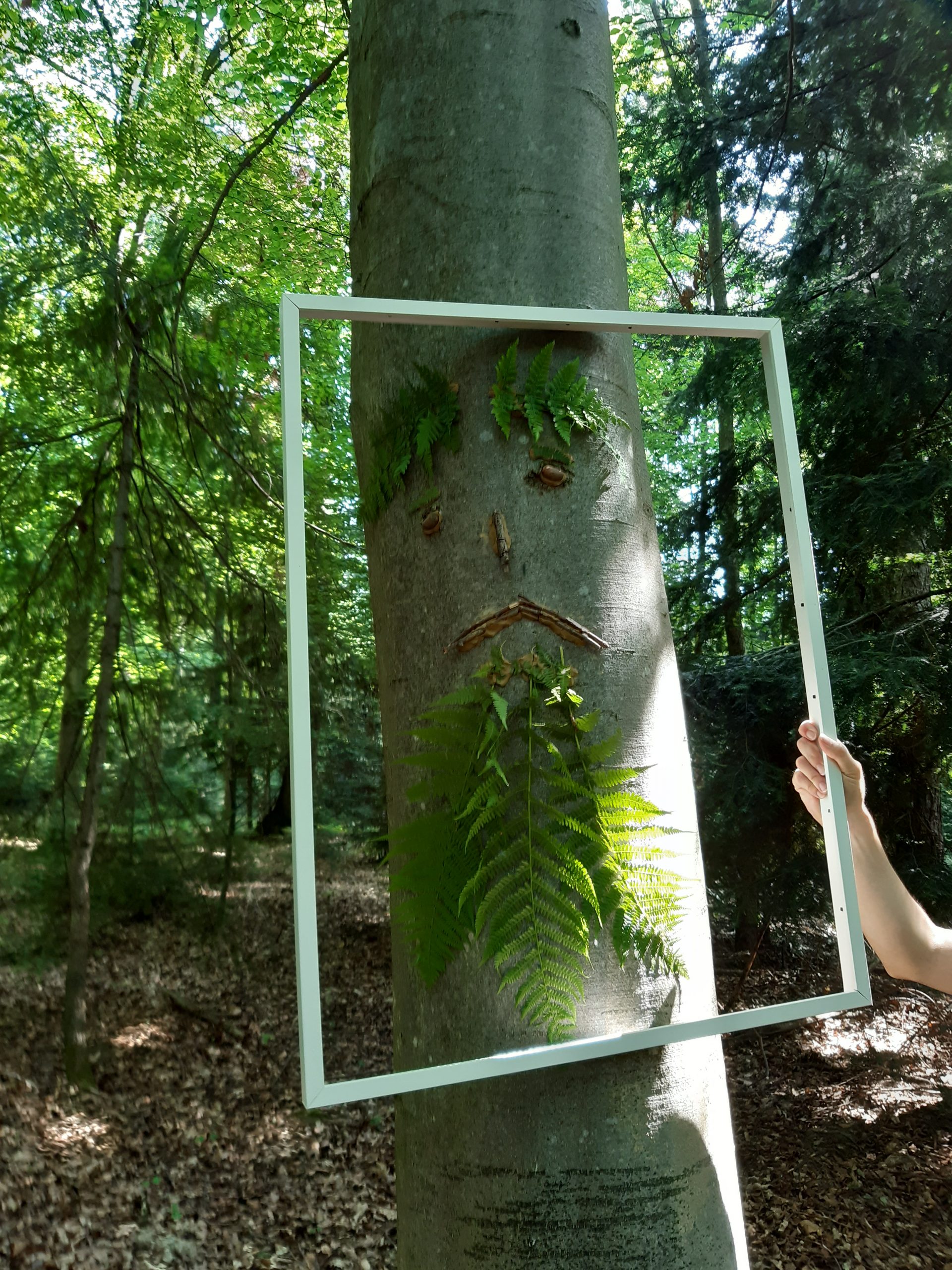 Gebt dem Wald ein Gesicht | Waldklassenzimmer