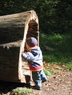 Entdeckertag | Waldklassenzimmer – für Familien mit Kindern jeden Alters