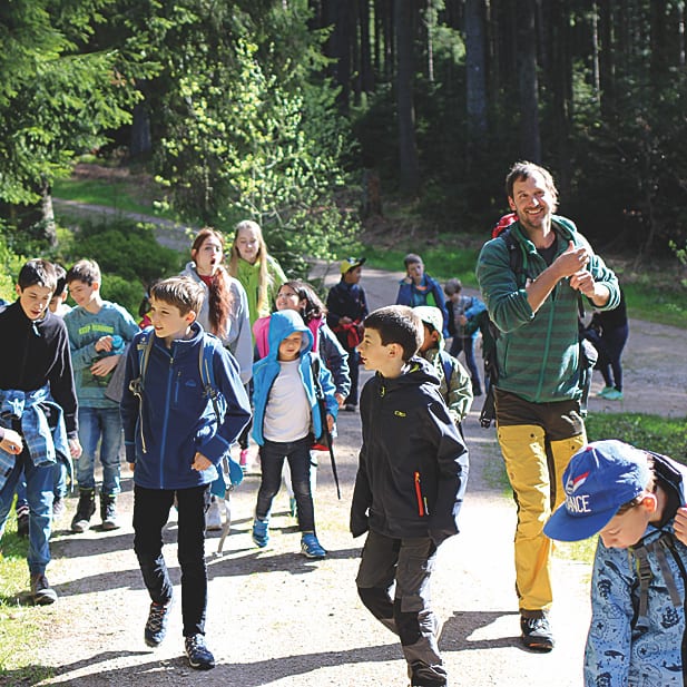 Abenteuer im Herbstwald