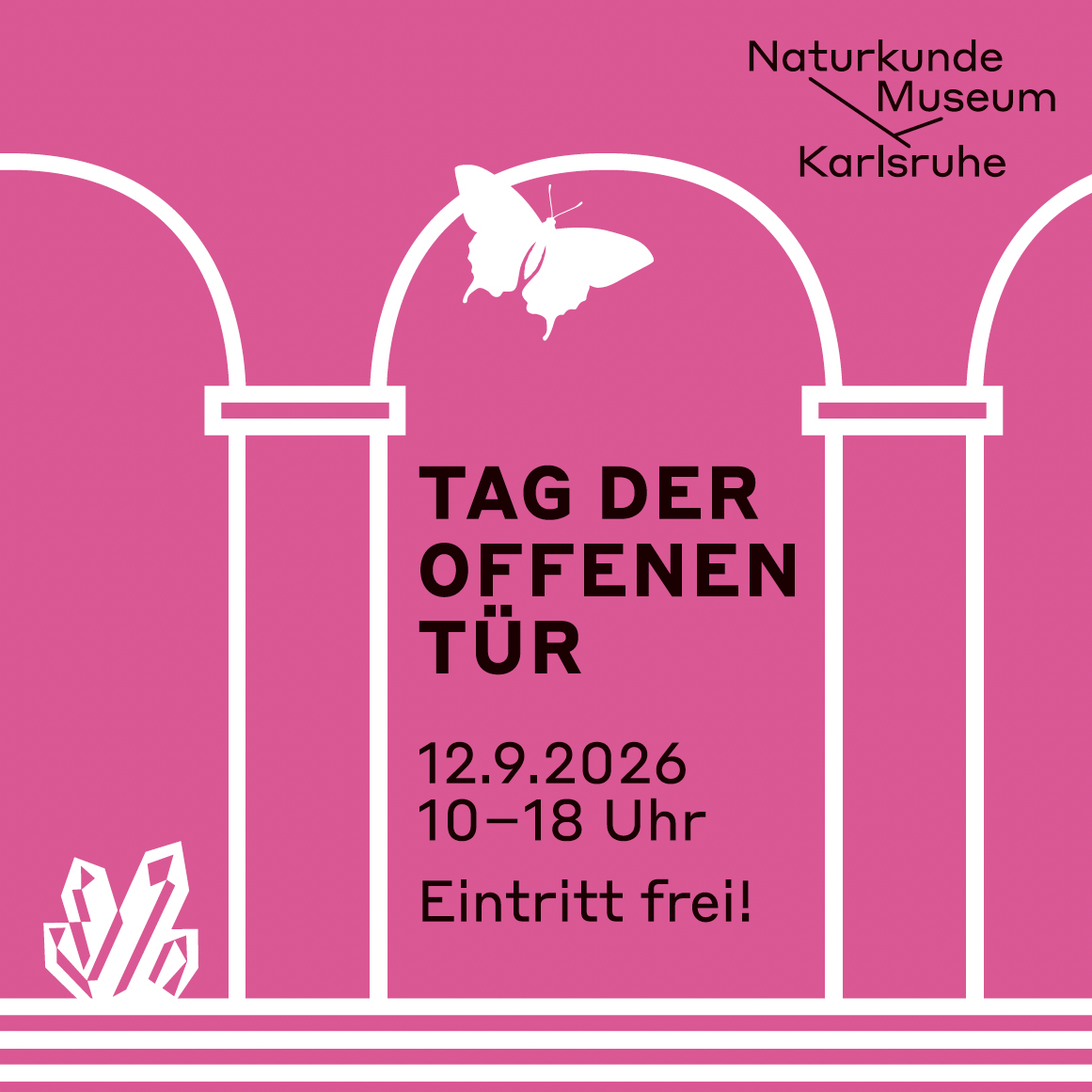 Tag der offenen Tür zum Jubiläum im Naturkundemuseum Karlsruhe